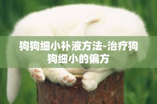 狗狗細小補液方法-治療狗狗細小的偏方