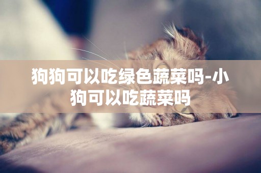狗狗可以吃綠色蔬菜嗎-小狗可以吃蔬菜嗎