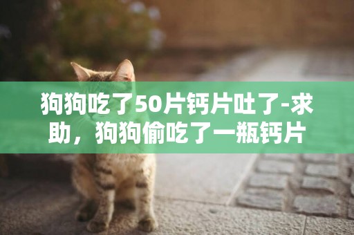 狗狗吃了50片鈣片吐了-求助，狗狗偷吃了一瓶鈣片