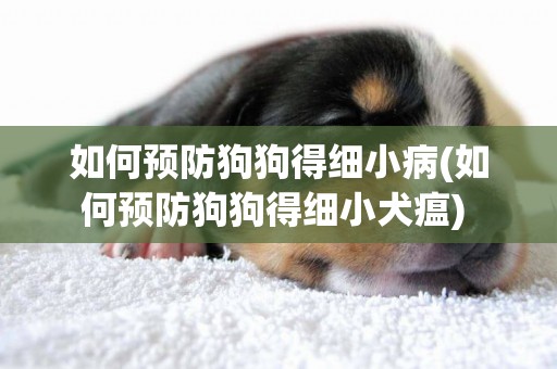 如何預防狗狗得細小病(如何預防狗狗得細小犬瘟) 
