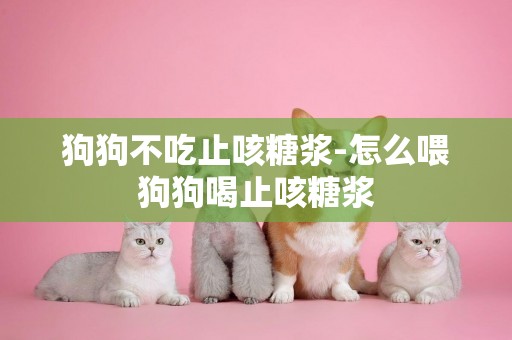 狗狗不吃止咳糖漿-怎么喂狗狗喝止咳糖漿