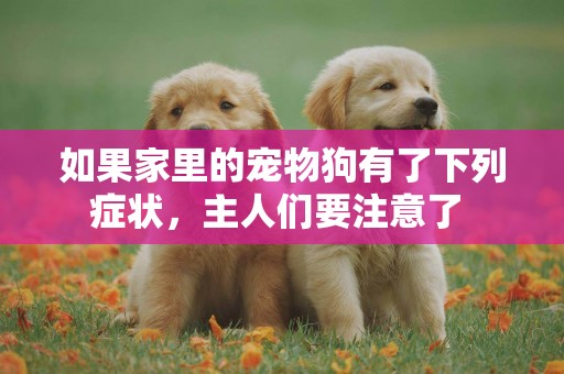 如果家里的寵物狗有了下列癥狀，主人們要注意了 