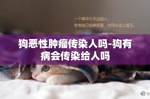 狗惡性腫瘤傳染人嗎-狗有病會傳染給人嗎