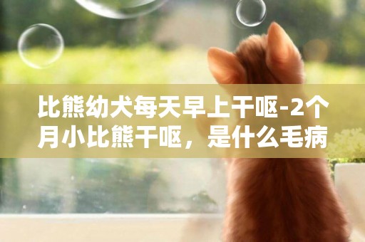比熊幼犬每天早上干嘔-2個月小比熊干嘔，是什么毛病