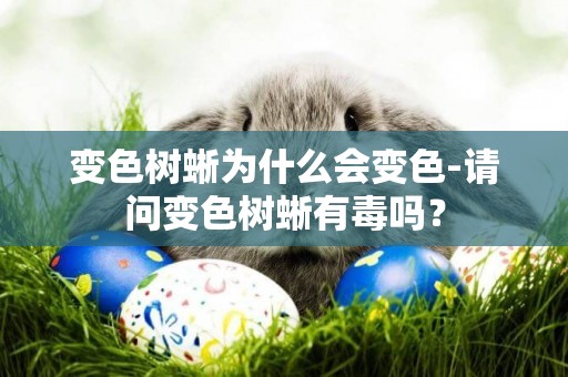 變色樹蜥為什么會變色-請問變色樹蜥有毒嗎？