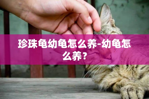 珍珠龜幼龜怎么養-幼龜怎么養？