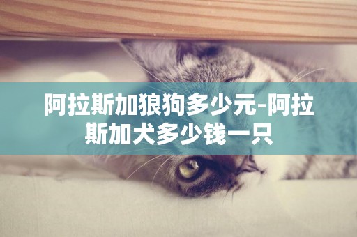 阿拉斯加狼狗多少元-阿拉斯加犬多少錢一只