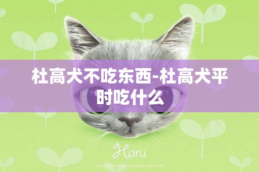杜高犬不吃東西-杜高犬平時吃什么