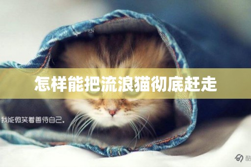 怎樣能把流浪貓徹底趕走