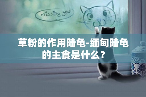 草粉的作用陸龜-緬甸陸龜的主食是什么？