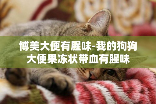 博美大便有腥味-我的狗狗大便果凍狀帶血有腥味