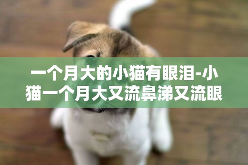 一個月大的小貓有眼淚-小貓一個月大又流鼻涕又流眼淚又拉稀怎么辦？