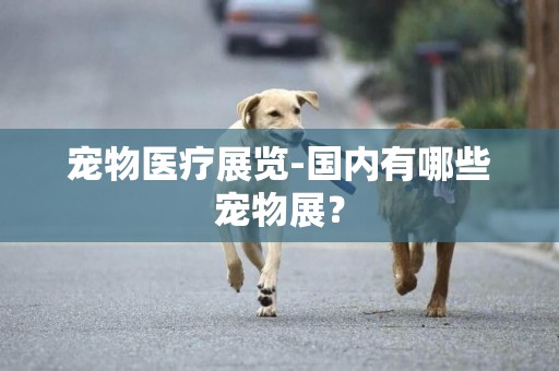 寵物醫療展覽-國內有哪些寵物展？