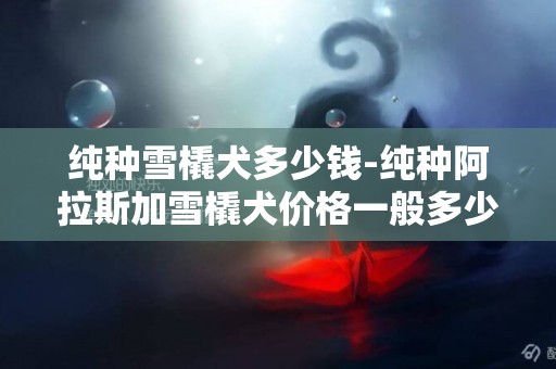 純種雪橇犬多少錢-純種阿拉斯加雪橇犬價格一般多少錢