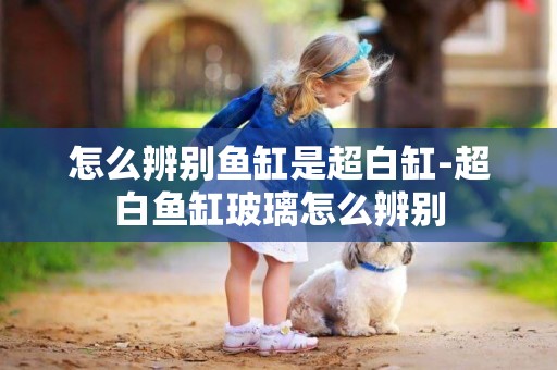 怎么辨別魚缸是超白缸-超白魚缸玻璃怎么辨別