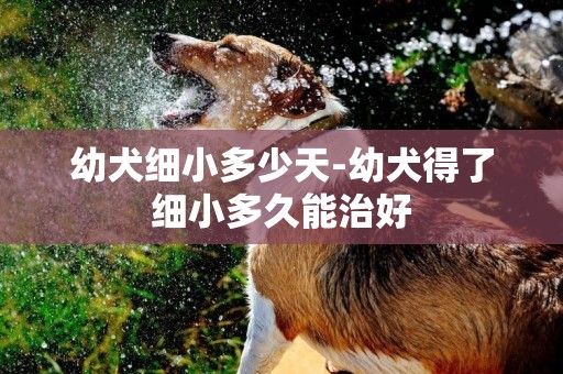 幼犬細小多少天-幼犬得了細小多久能治好