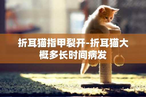 折耳貓指甲裂開-折耳貓大概多長時間病發