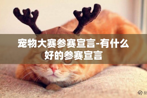 寵物大賽參賽宣言-有什么好的參賽宣言