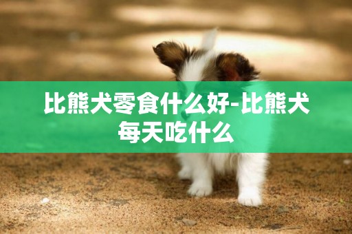 比熊犬零食什么好-比熊犬每天吃什么