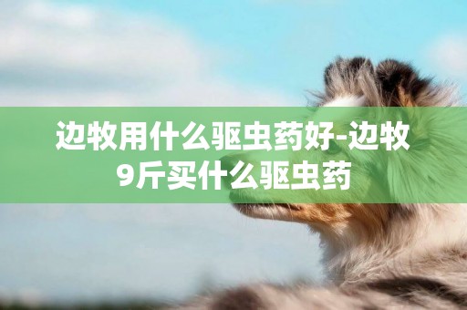 邊牧用什么驅蟲藥好-邊牧9斤買什么驅蟲藥