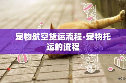 寵物航空貨運流程-寵物托運的流程