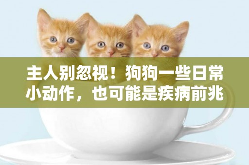 主人別忽視！狗狗一些日常小動作，也可能是疾病前兆 