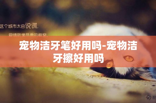 寵物潔牙筆好用嗎-寵物潔牙擦好用嗎