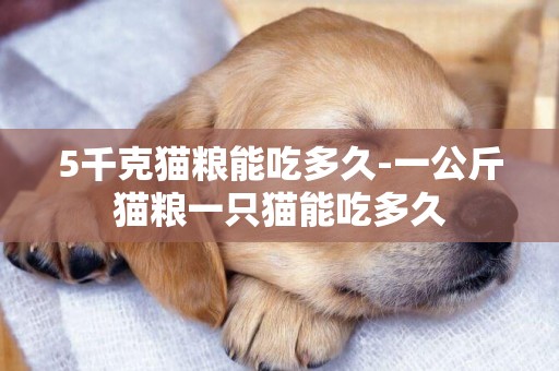 5千克貓糧能吃多久-一公斤貓糧一只貓能吃多久
