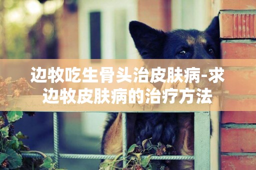 邊牧吃生骨頭治皮膚病-求邊牧皮膚病的治療方法