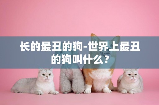 長的最丑的狗-世界上最丑的狗叫什么？