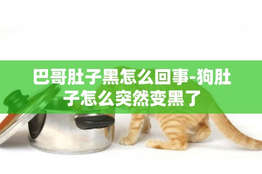 巴哥肚子黑怎么回事-狗肚子怎么突然變黑了