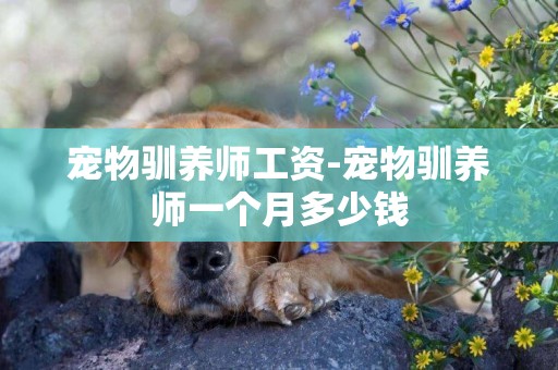 寵物馴養師工資-寵物馴養師一個月多少錢