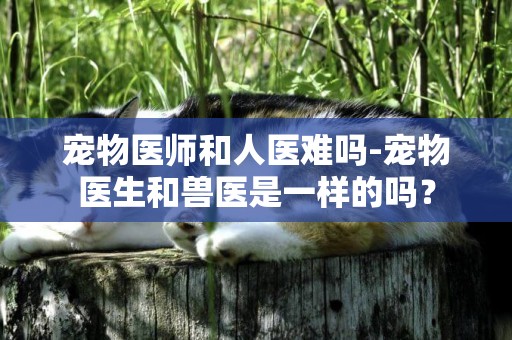 寵物醫師和人醫難嗎-寵物醫生和獸醫是一樣的嗎？
