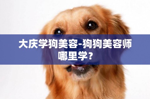 大慶學狗美容-狗狗美容師哪里學？