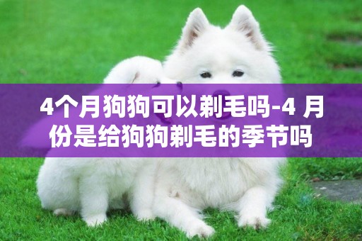 4個月狗狗可以剃毛嗎-4 月份是給狗狗剃毛的季節嗎
