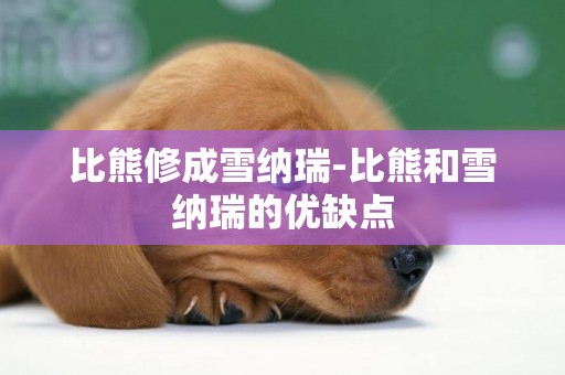 比熊修成雪納瑞-比熊和雪納瑞的優缺點