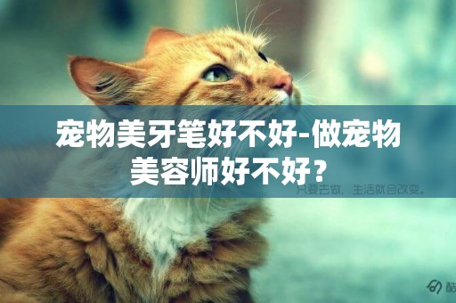 寵物美牙筆好不好-做寵物美容師好不好？