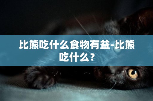 比熊吃什么食物有益-比熊吃什么？