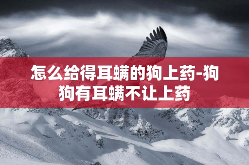 怎么給得耳螨的狗上藥-狗狗有耳螨不讓上藥