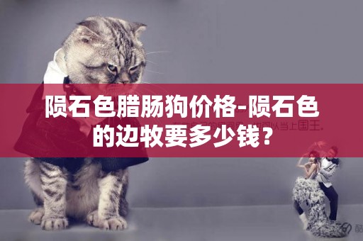 隕石色臘腸狗價格-隕石色的邊牧要多少錢？