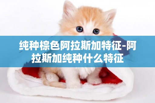 純種棕色阿拉斯加特征-阿拉斯加純種什么特征