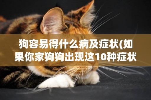 狗容易得什么病及癥狀(如果你家狗狗出現這10種癥狀) 