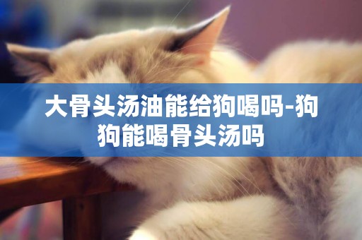 大骨頭湯油能給狗喝嗎-狗狗能喝骨頭湯嗎