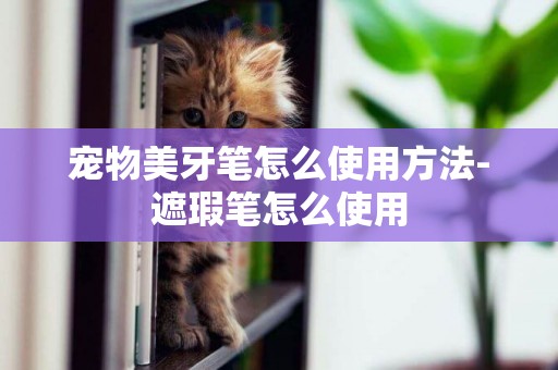 寵物美牙筆怎么使用方法-遮瑕筆怎么使用