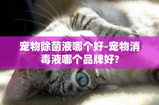 寵物除菌液哪個好-寵物消毒液哪個品牌好?