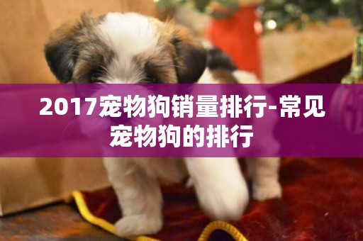 2017寵物狗銷量排行-常見寵物狗的排行