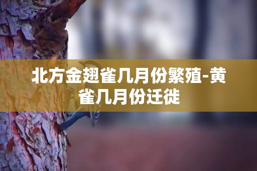 北方金翅雀幾月份繁殖-黃雀幾月份遷徙