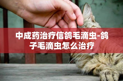 中成藥治療信鴿毛滴蟲-鴿子毛滴蟲怎么治療
