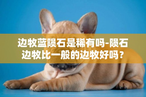 邊牧藍隕石是稀有嗎-隕石邊牧比一般的邊牧好嗎？