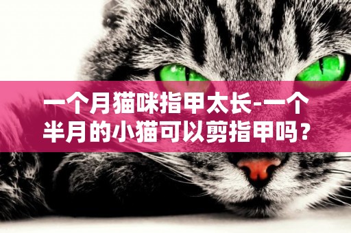 一個月貓咪指甲太長-一個半月的小貓可以剪指甲嗎？